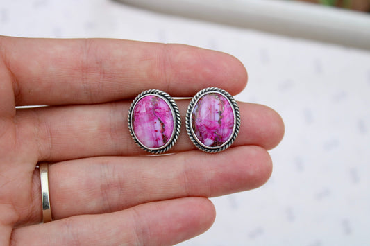 Pink Spiny Oyster Studs